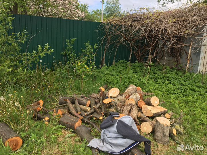 Спил деревьев/вывоз мусора
