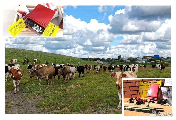 Электропастух