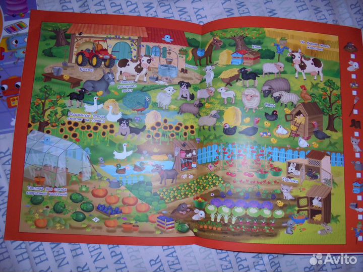 Сер Найди и покажи для досуга детей