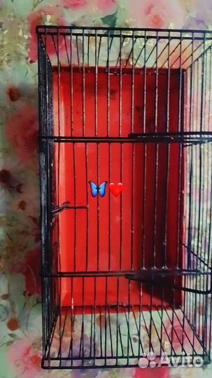 Клетка для грызунов