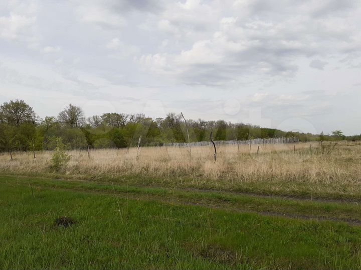 Участок 20 сот. (СНТ, ДНП)