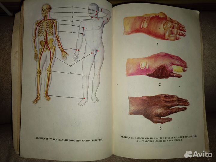 Основы медицинских знаний гоголева