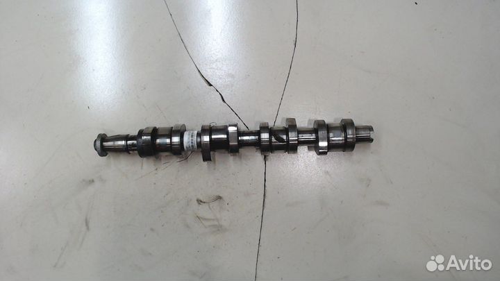 Распредвал Skoda Octavia (A5), 2008