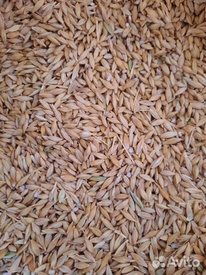 Товары для домашних животных