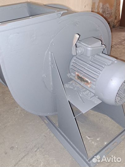 Радиальные улитки