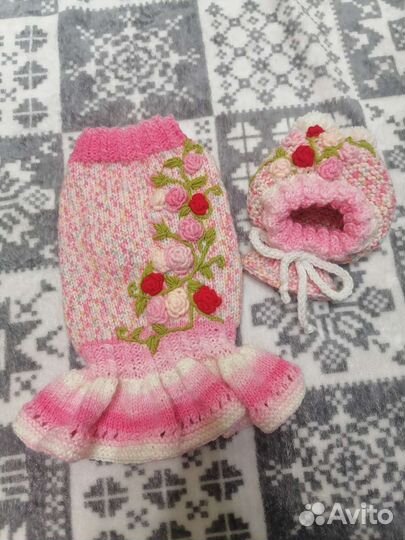 Одежда для животных