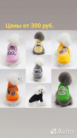Одежда для собак