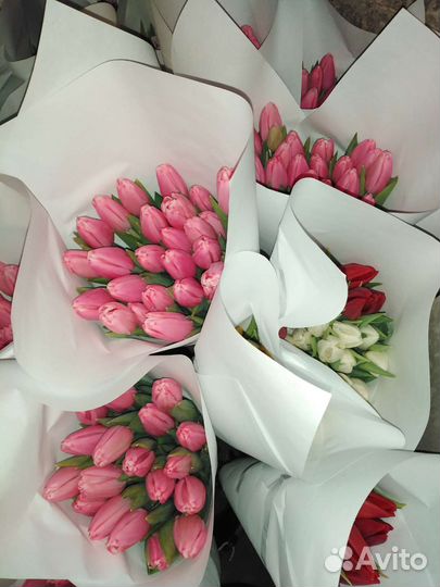 Тюльпаны оптом