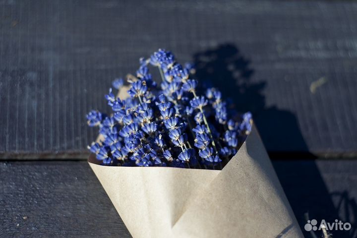 Лаванда, букет, цветы