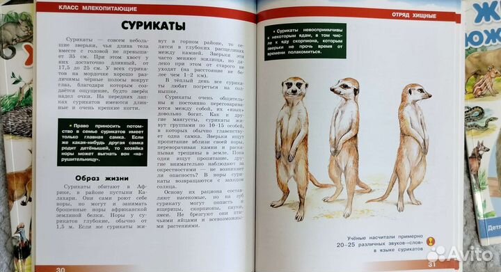 Энциклопедии для детей