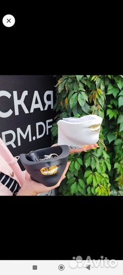 Ладони, Геракл, Давид кашпо