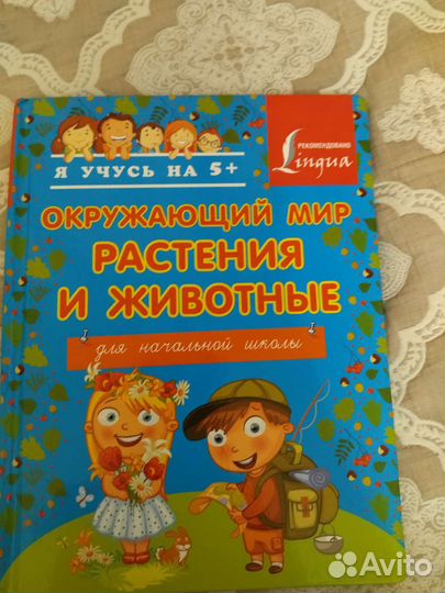 Развивающие пособия