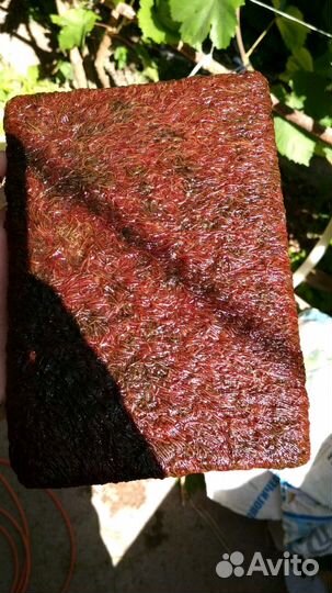 Корм для рыб артемия, мотыль