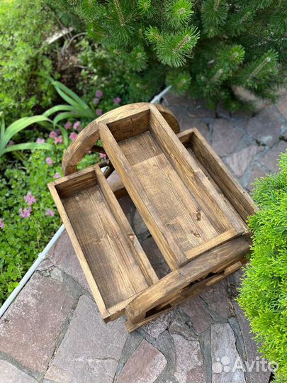 Цветочница уличная