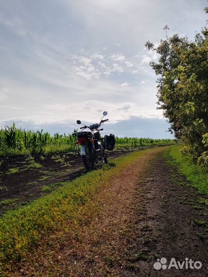 Продам мопед Alpha 72cc