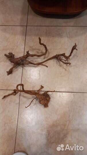 Для аквариума