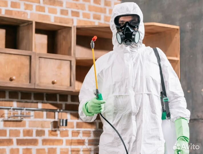 Дезинфекция тараканов, клопов, комаров, крыс мышей