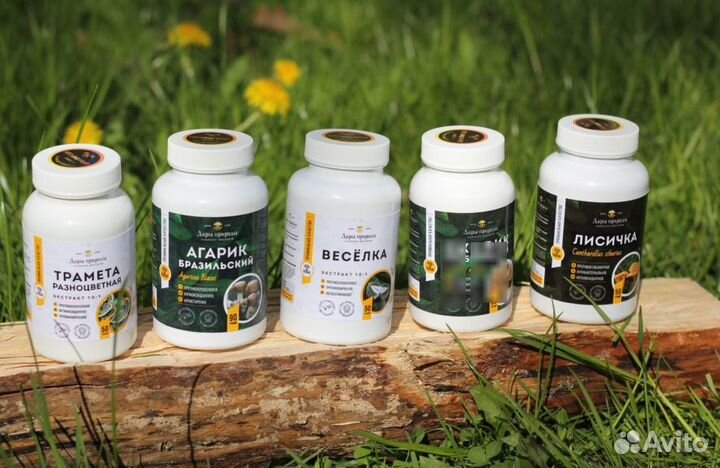 Дары/П гриб агарик Мейтаке полисахариды 50Г