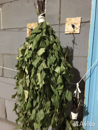 Свежие березовые веники