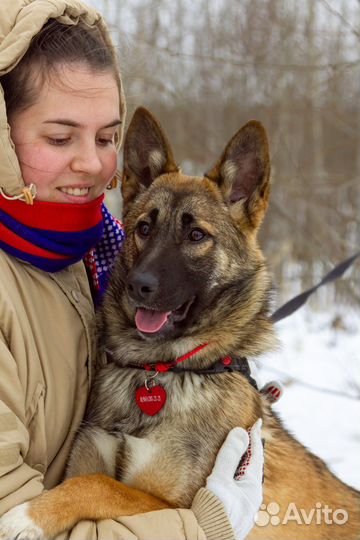 Щенок в добрые руки