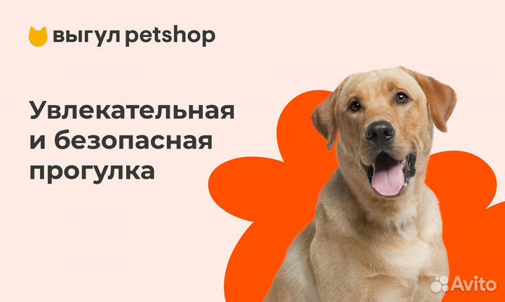 Выгул животных Petshop в Москве