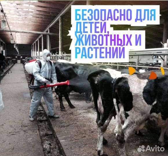 Уничтожить тараканов клопов мышей дезинфекция