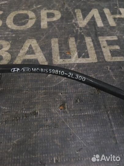 Датчик ABS передний левый Hyundai I-30 1 1.4 1.6