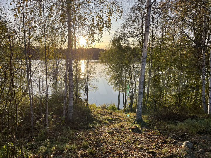 Дом 40,3 м² на участке 15 сот.