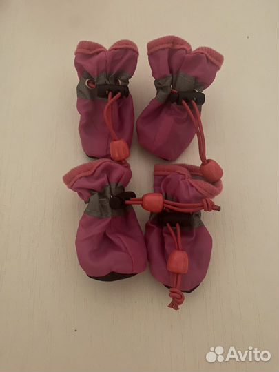 Сапоги для собаки