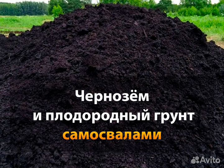 Не выходи из комнаты чернозем и звезды