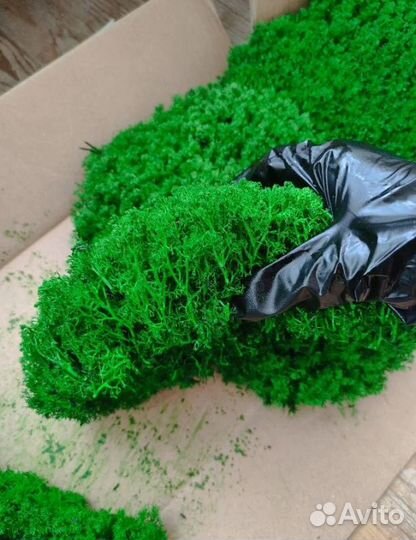 Мох для декора помещений яркие кочки