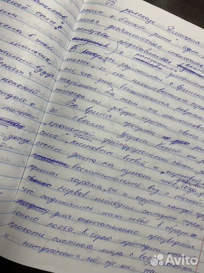 Напишу сочинение