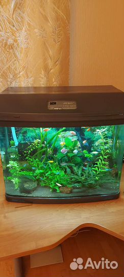 Аквариум