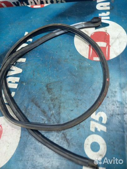 Уплотнитель двери передний правый Nissan Sunny