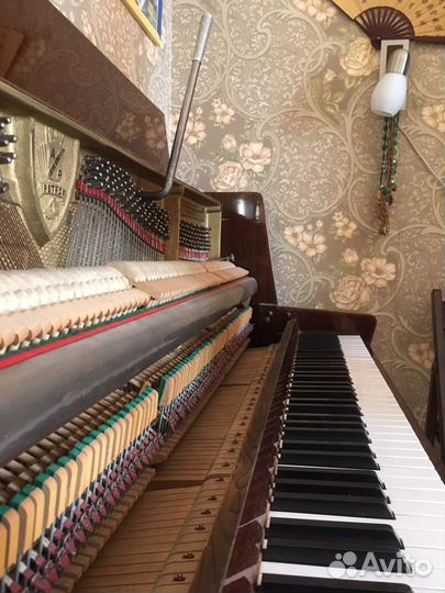 Настройка пианино (фортепиано)