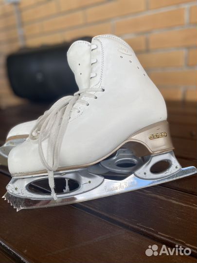 Фигурные коньки edea chorus 245