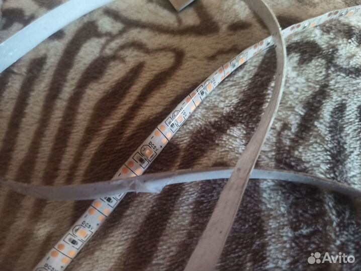 Фитолента для растений