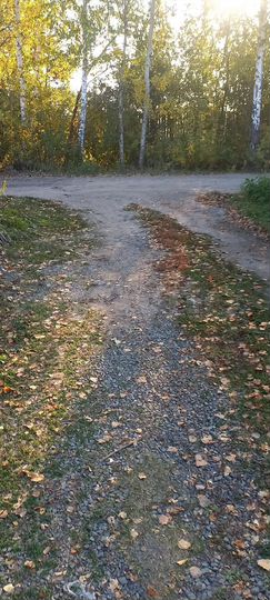 Участок 10,5 сот. (СНТ, ДНП)