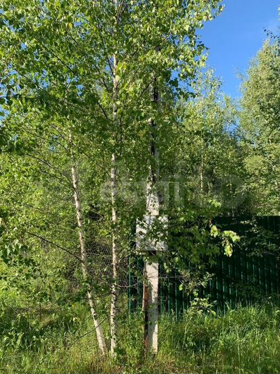 Участок 15 сот. (ИЖС)