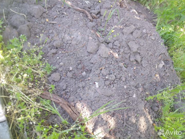 Чернозем отличный Навоз прелый крс,в мешках 5т,15т