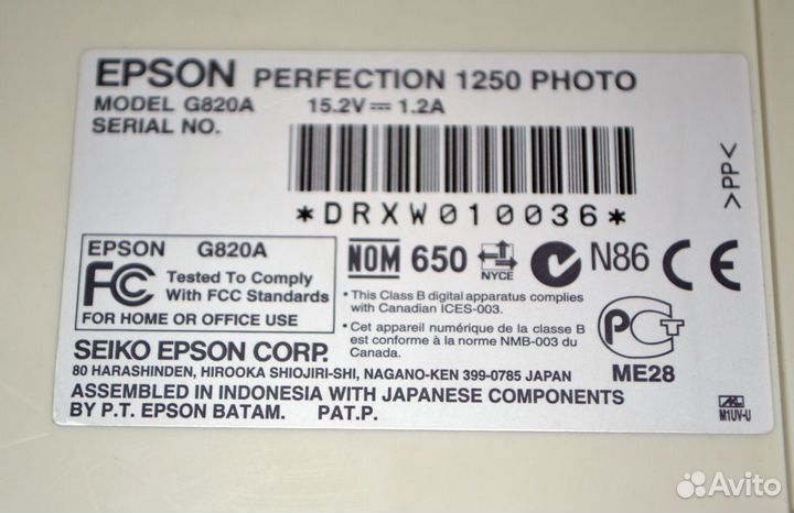Сканер Epson Perfection 1250 photo