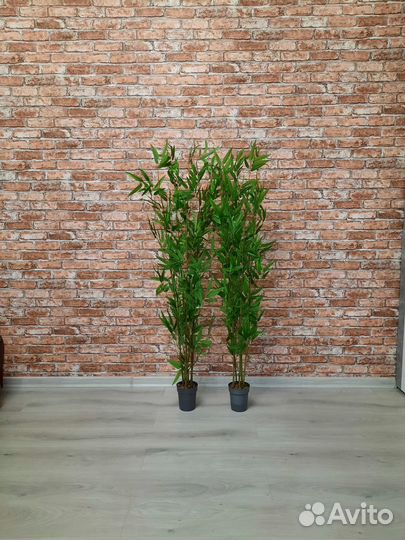 Декоративное дерево