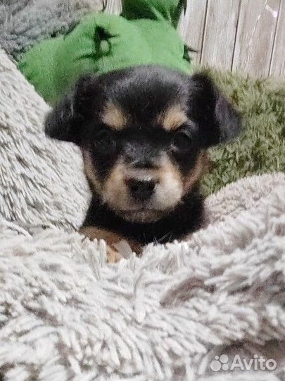 Красивые малыши