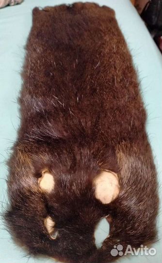 Шкурка нутрии