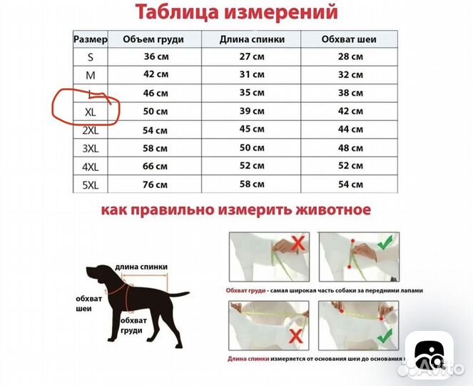 Жилетка для собак