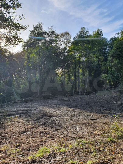 Участок 6,2 сот. (СНТ, ДНП)