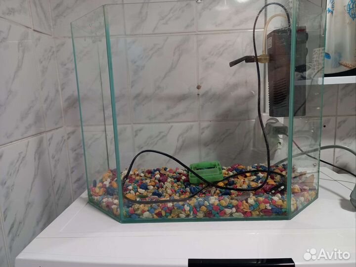 Аквариум