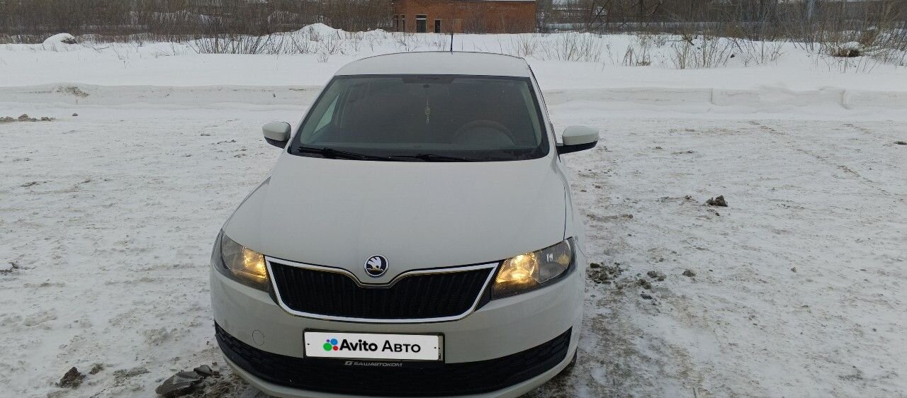 Skoda Rapid: фото владельца