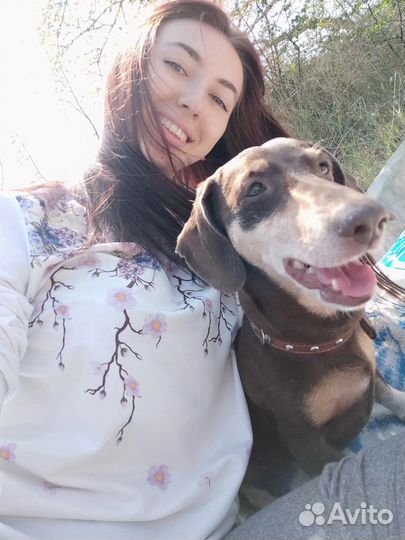 Передержка животных, выгул собак, зоотакси