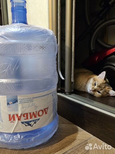 Бутылка 19 литров